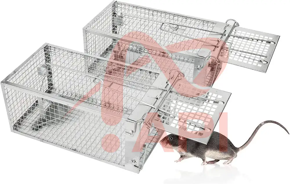 Dùng bẫy chuột để bảo vệ xe nâng khỏi chuột
