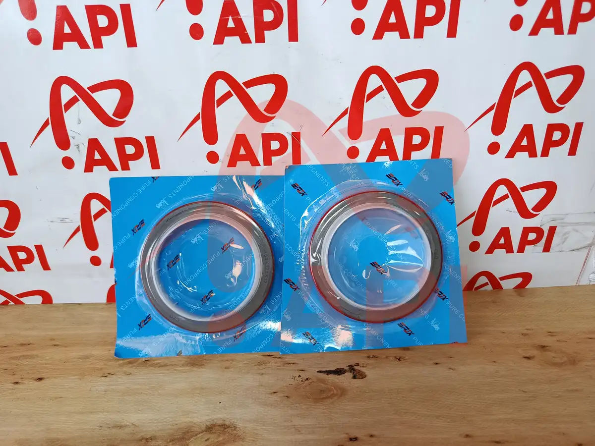 1 Cặp Phớt đuôi cốt máy 490